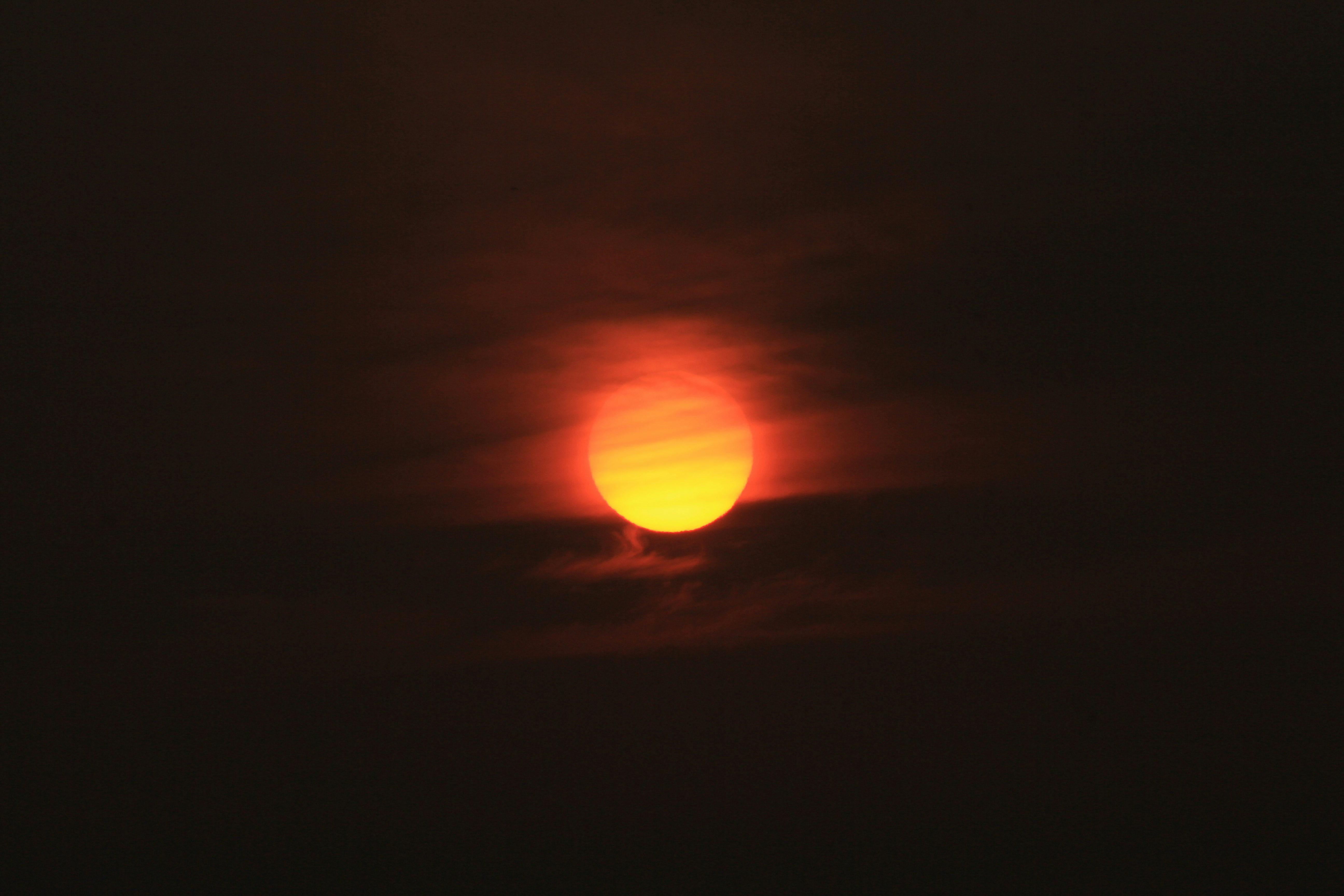 Photo by martin_dav1d