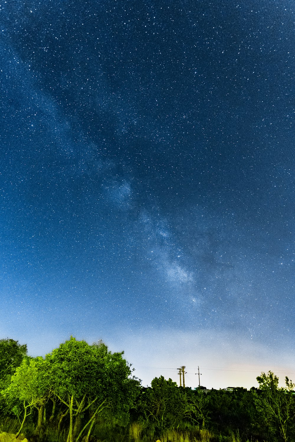 green trees under blue sky