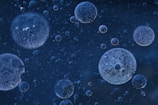 blue droplets wallpaper