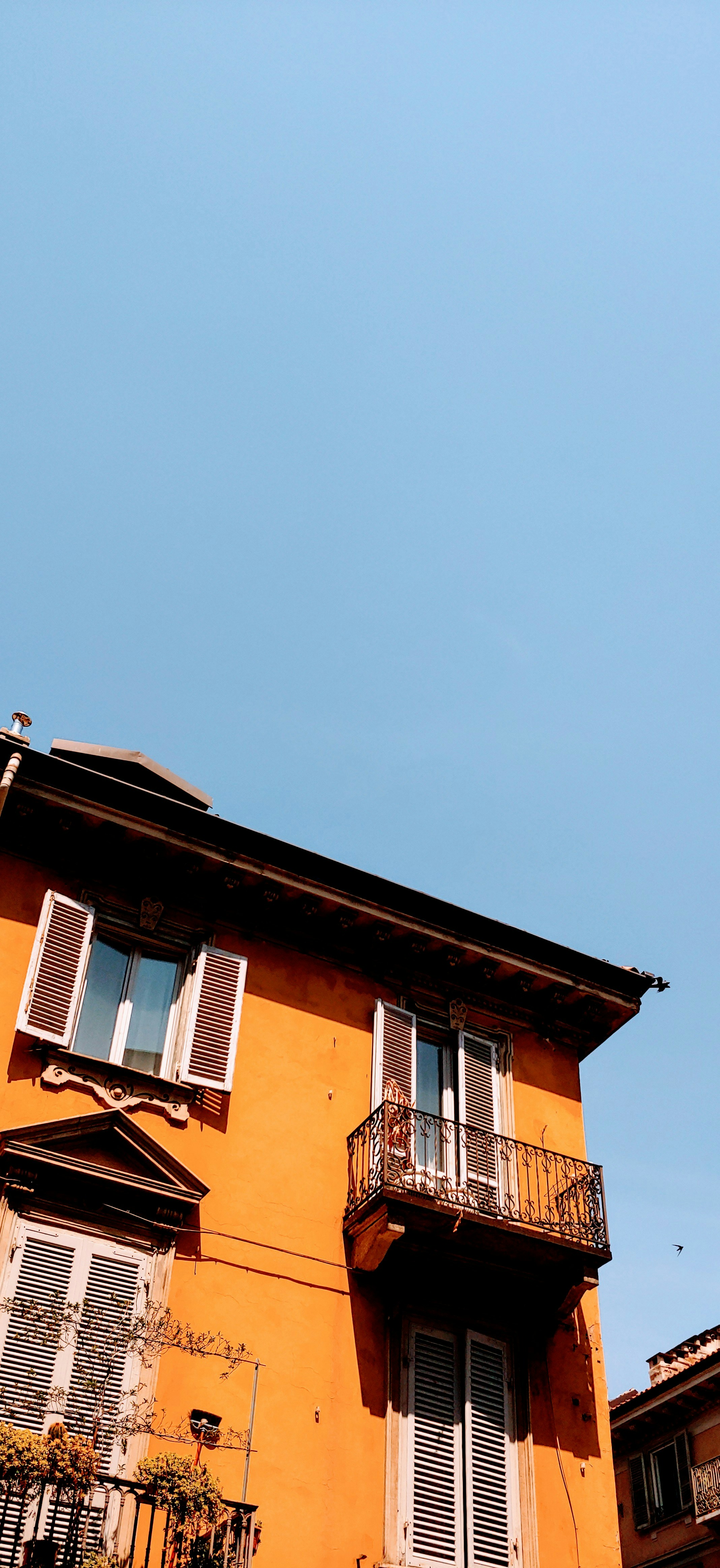 Photo by mastro_misciu