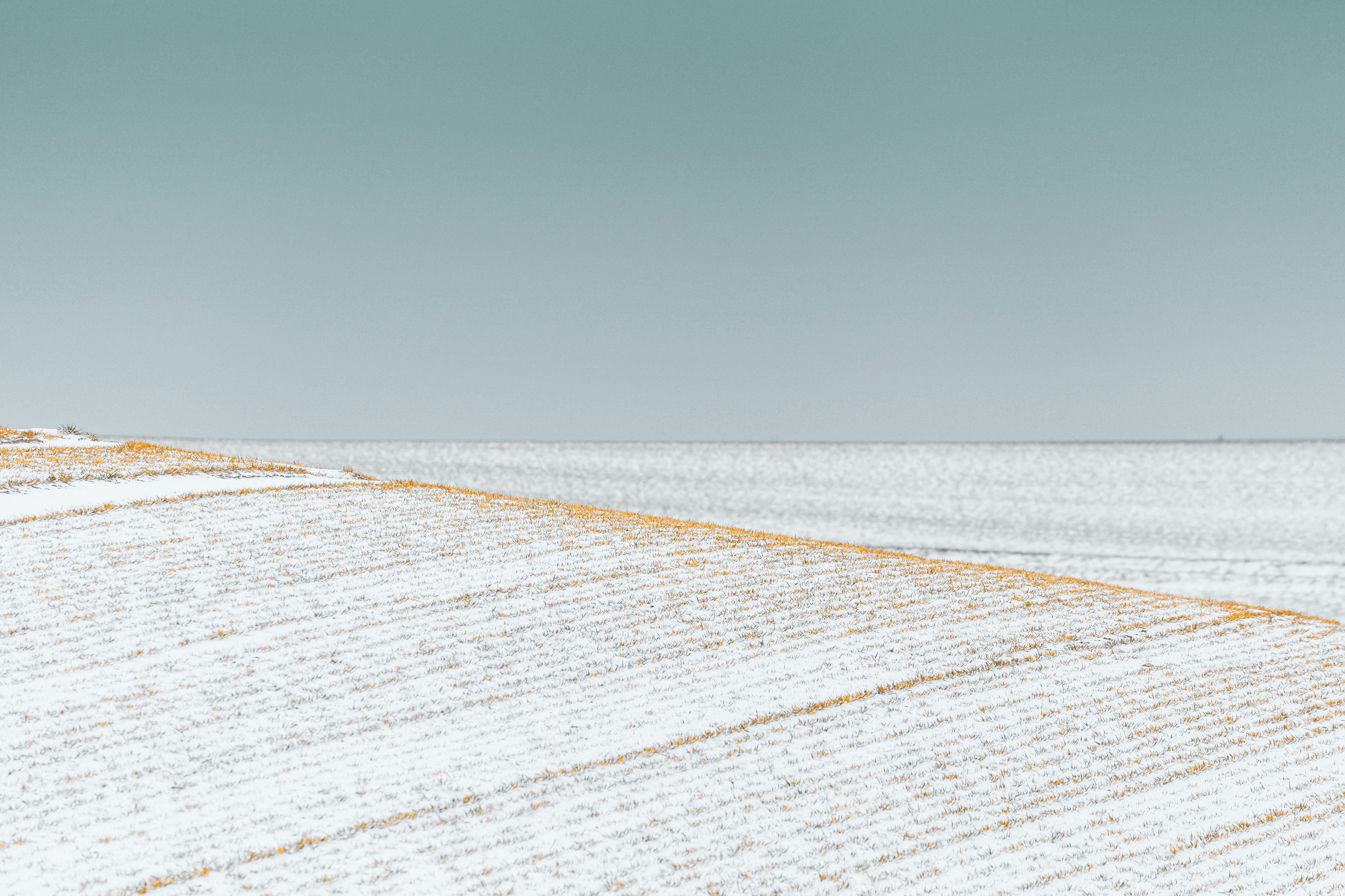 Image of fields covered in snow.