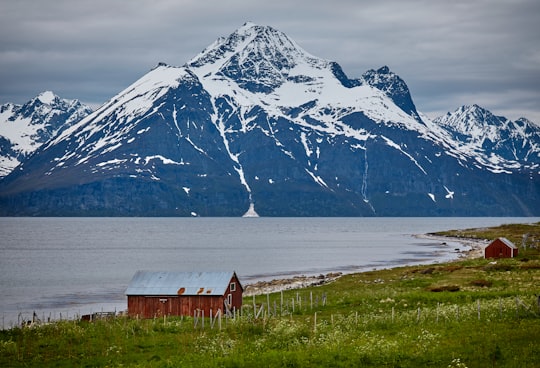 photo of two brown wooden barns near blue body of water and snow covered mountains at daytime in Lyngen Alps Norway