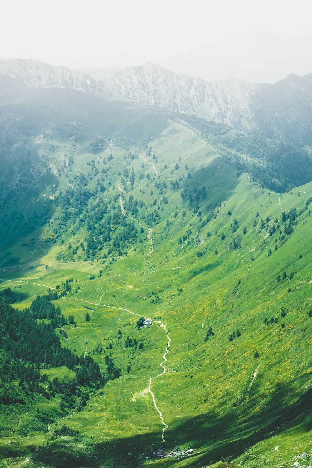 green grass mountain with trees and river