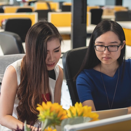 two sitting woman looking at silver laptop computer