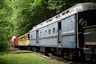 grey, yellow, and red train on forest during daytime