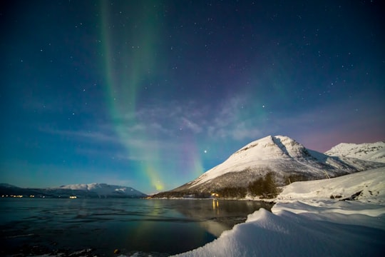 Aurora Borealis on body of water during daytime in Tromsø Norway