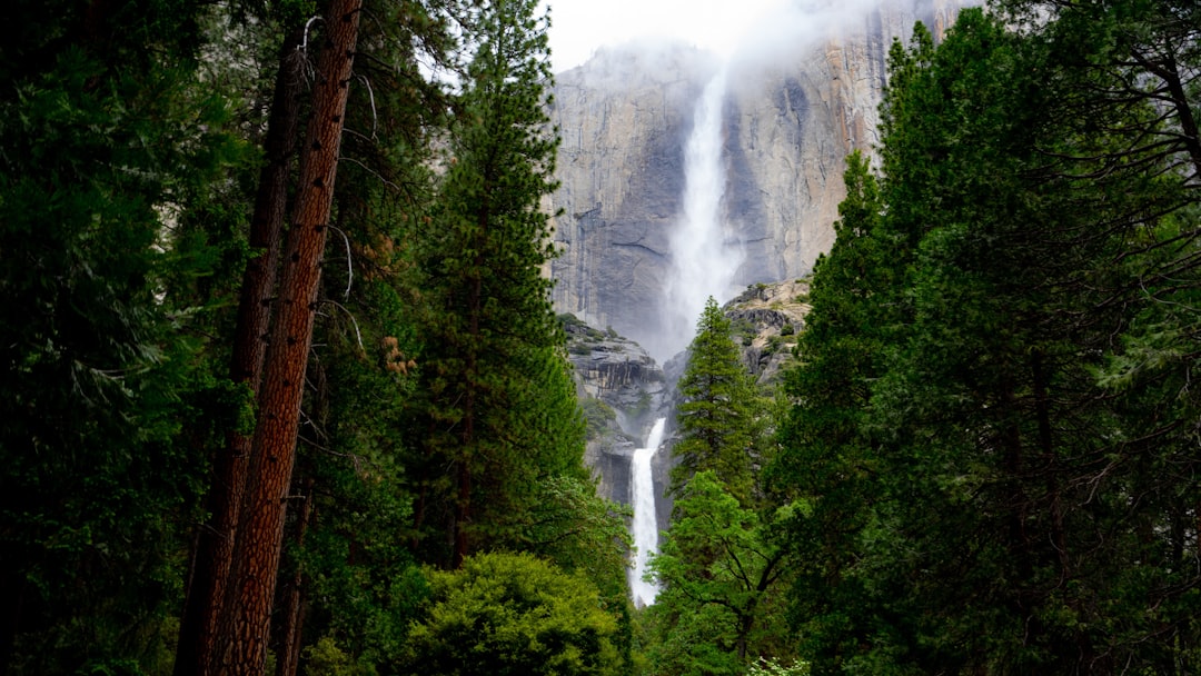 travelers stories about Waterfall in Yosemite Falls Trail, United States