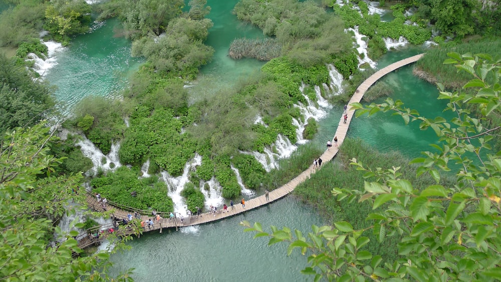 top view photo of green trees near waterfalls