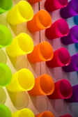 A collection of colorful cups showcasing various designs.