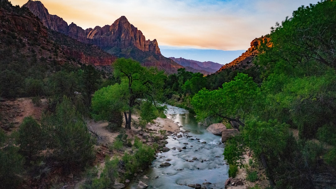 Nature reserve photo spot Zion National Park United States