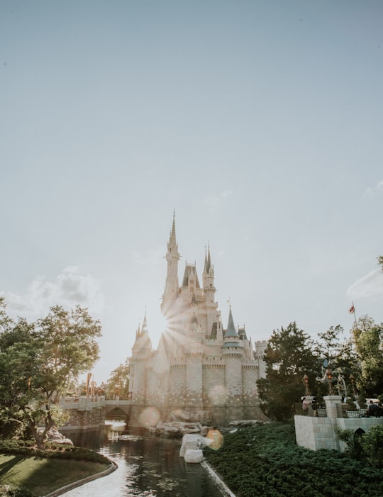 Cinderella Castle things to do in Poinciana