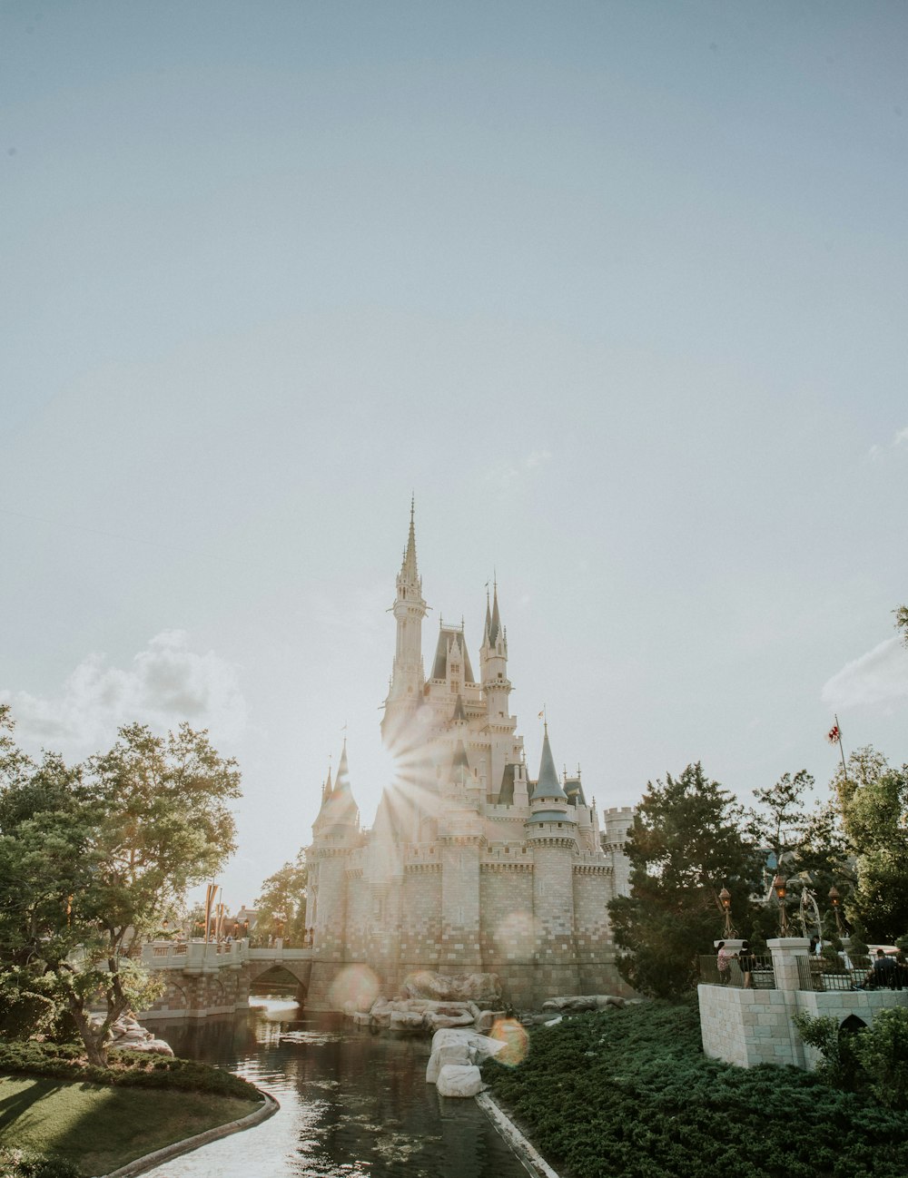 cathedral surrounded by trees