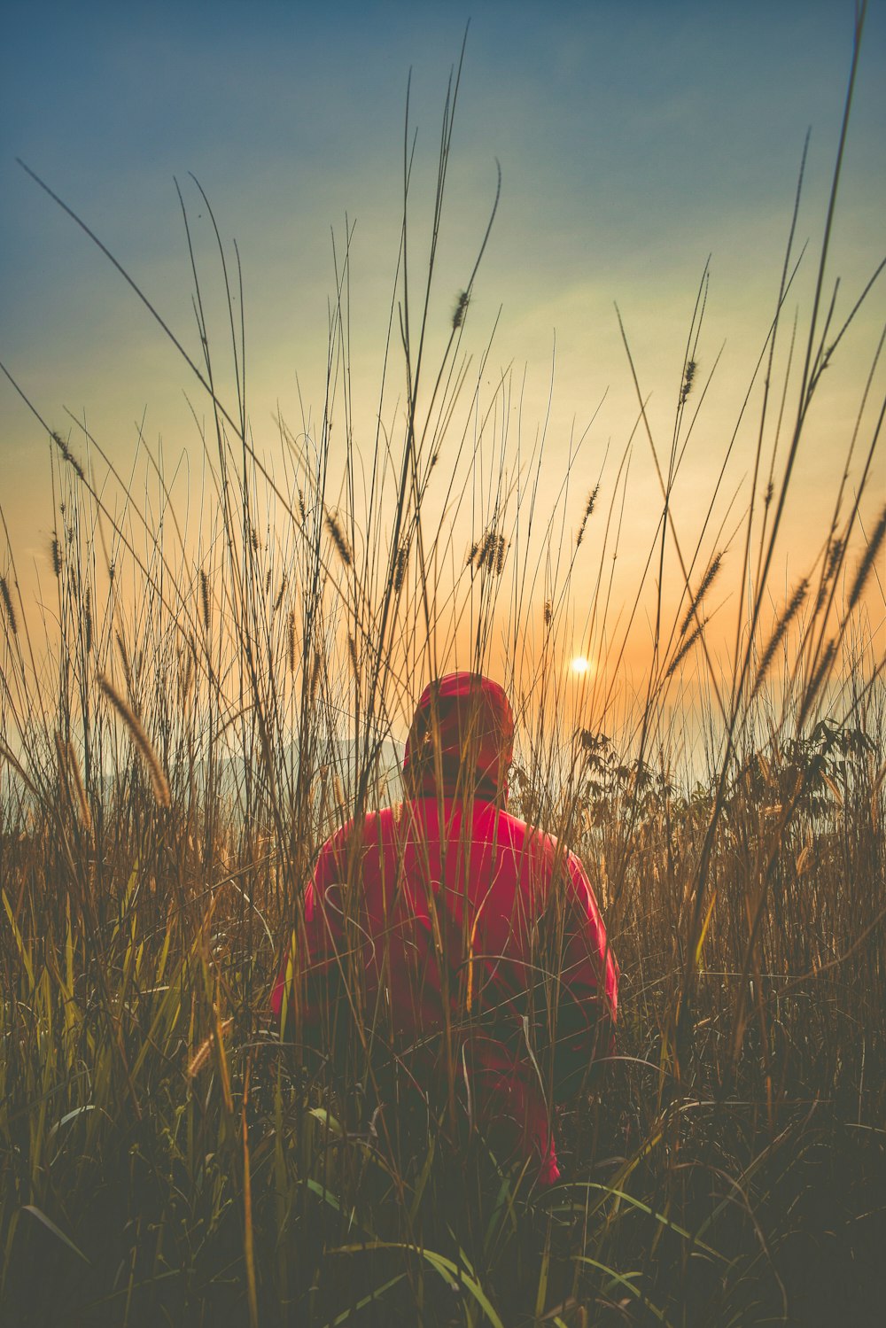 Persona con sudadera con capucha roja caminando en el campo de hierba