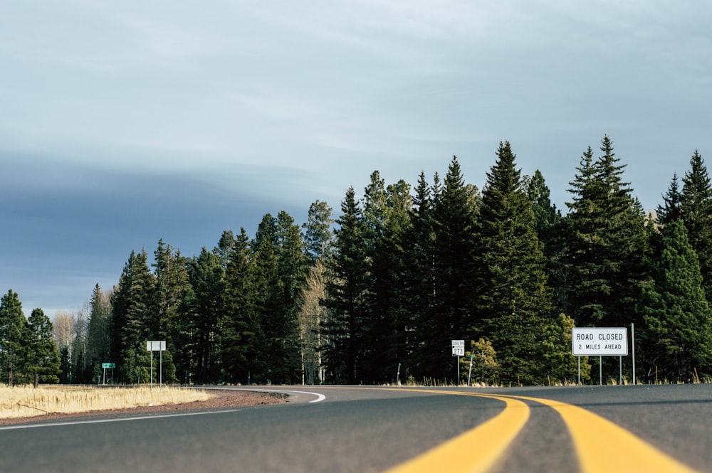 tilt-shift low angle photo of empty black top road turning to left-hand side at a distance