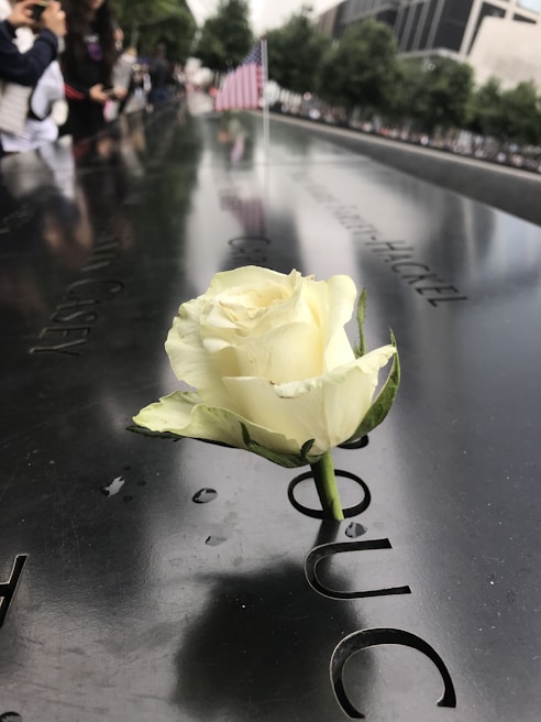A white rose is inserted into the engraved name on a reflective black stone memorial. In the background, an American flag is in focus, with people observing along the edge. Trees and tall buildings are visible, creating a solemn atmosphere.