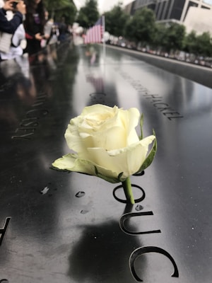 A white rose is inserted into the engraved name on a reflective black stone memorial. In the background, an American flag is in focus, with people observing along the edge. Trees and tall buildings are visible, creating a solemn atmosphere.