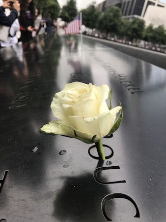 A white rose is inserted into the engraved name on a reflective black stone memorial. In the background, an American flag is in focus, with people observing along the edge. Trees and tall buildings are visible, creating a solemn atmosphere.