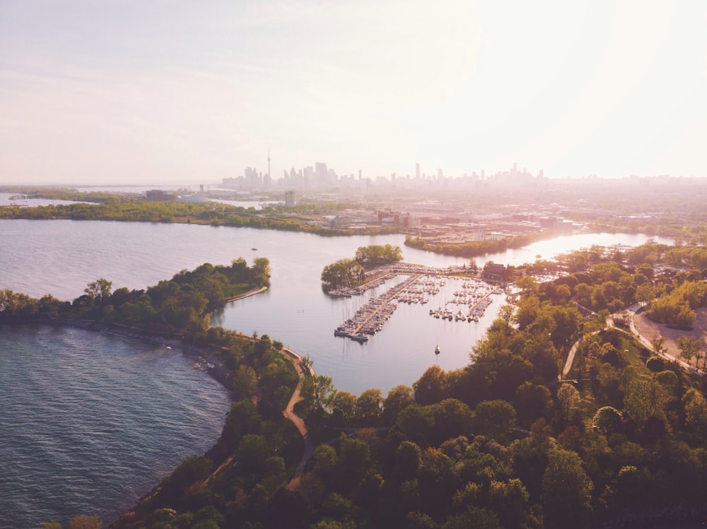 green trees and boats on body of water at daytime