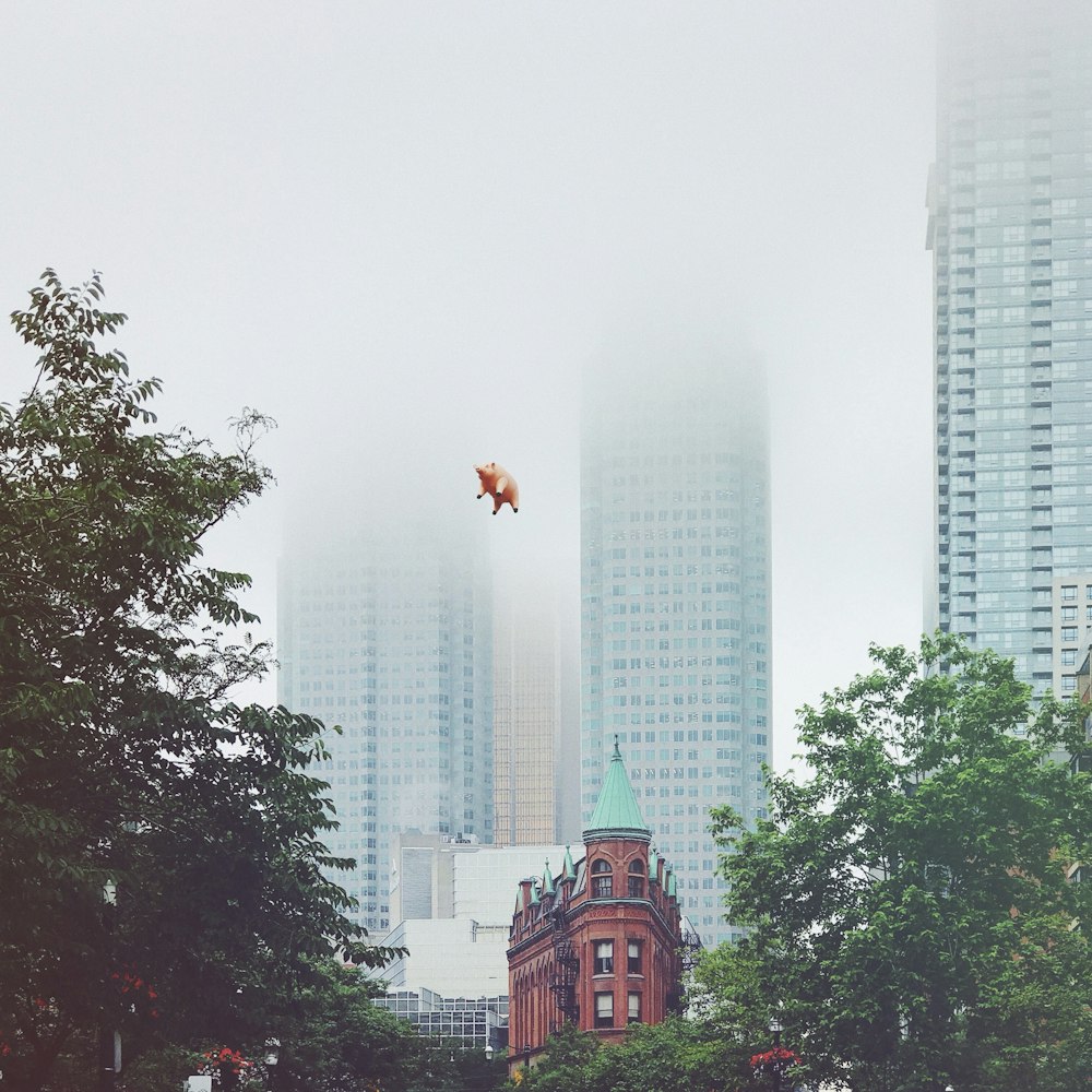 Cerdo volador durante el día