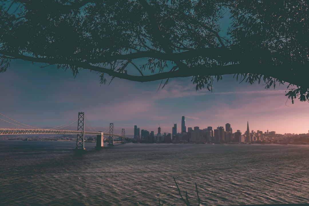 Skyline photo spot Treasure Island Washington Square