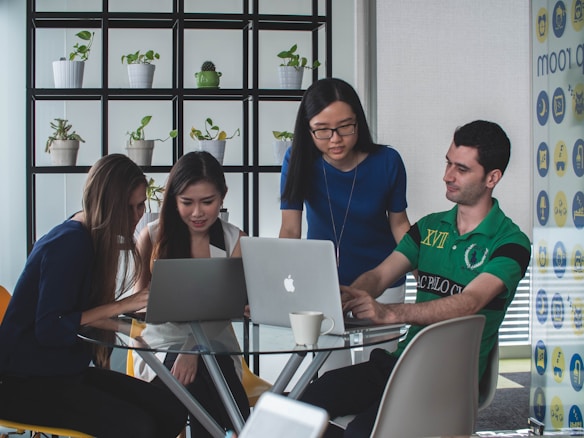 Four people are gathered around a table, each focused on their laptops. The setting appears to be an office with a modern and relaxed atmosphere. Behind them is a shelving unit with various small potted plants arranged in a grid. The group seems engaged in a discussion or collaboration, with one person pointing at a laptop screen while others pay attention. A glass table with a coffee cup is in the center, adding to the professional but casual vibe.