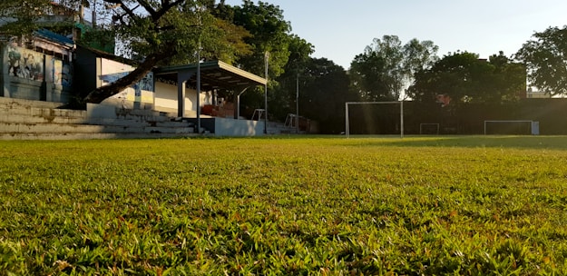 A sunlit grassy field with goalposts at either end, surrounded by trees and buildings. There are concrete bleachers with some graffiti, and a covered pavilion to the left. The scene conveys a calm and serene atmosphere, possibly in the early morning or late afternoon.