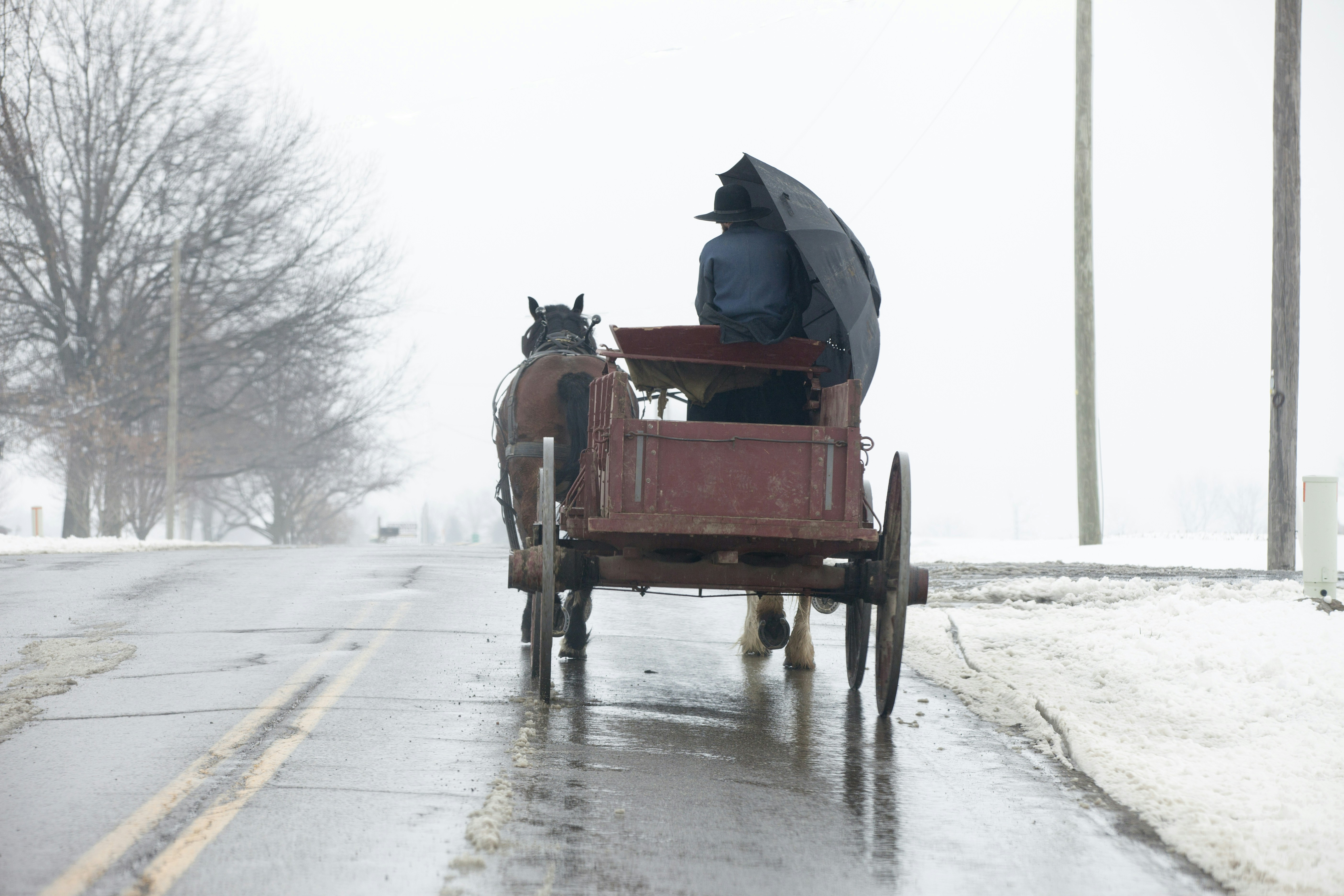 person riding on brown carriage