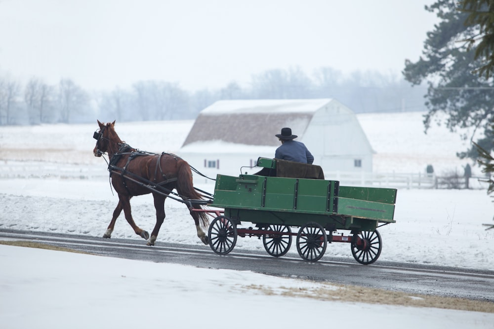 Homem montando carruagem de cavalo na estrada durante a temporada de neve