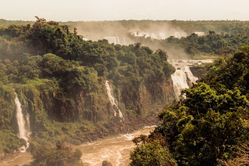 The stunning Iguazu Falls surrounded by lush greenery.