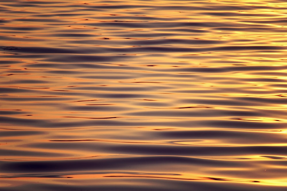 cuerpo de agua durante el día