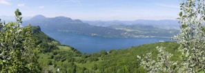 A panoramic view of a serene lake surrounded by forested hills