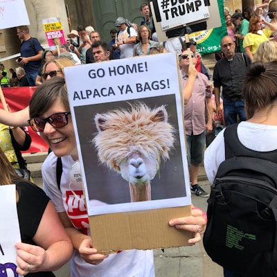 A crowd of people at a protest holding various signs. One person in the foreground is smiling and holding a humorous sign that features an alpaca with the text 'Go Home! Alpaca Ya Bags.' Other protesters and signs are visible in the background, contributing to the lively atmosphere.