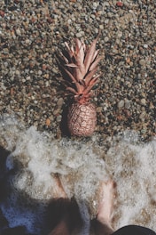pink pineapple on grey gravel near body of water