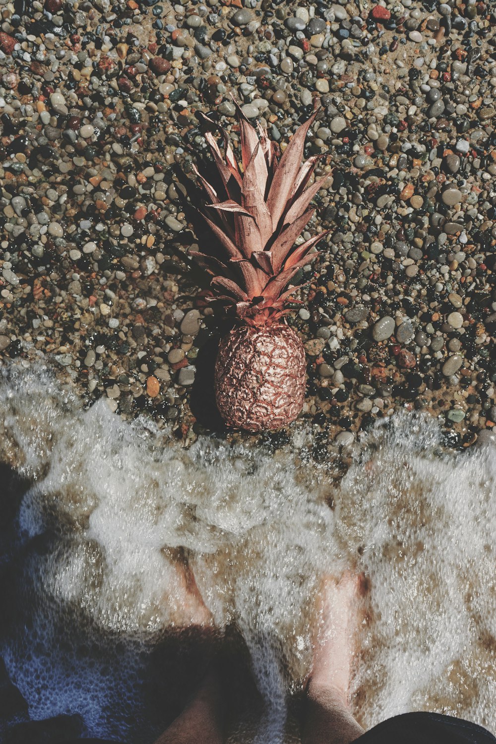 pink pineapple on grey gravel near body of water