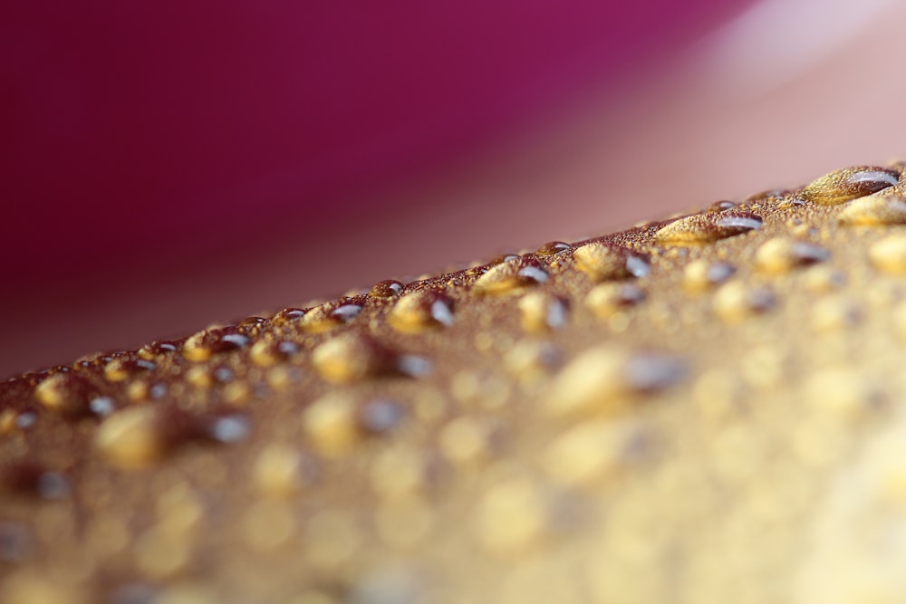 close up photography of water droplets