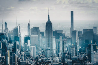 birds eye photography of high rise buildings
