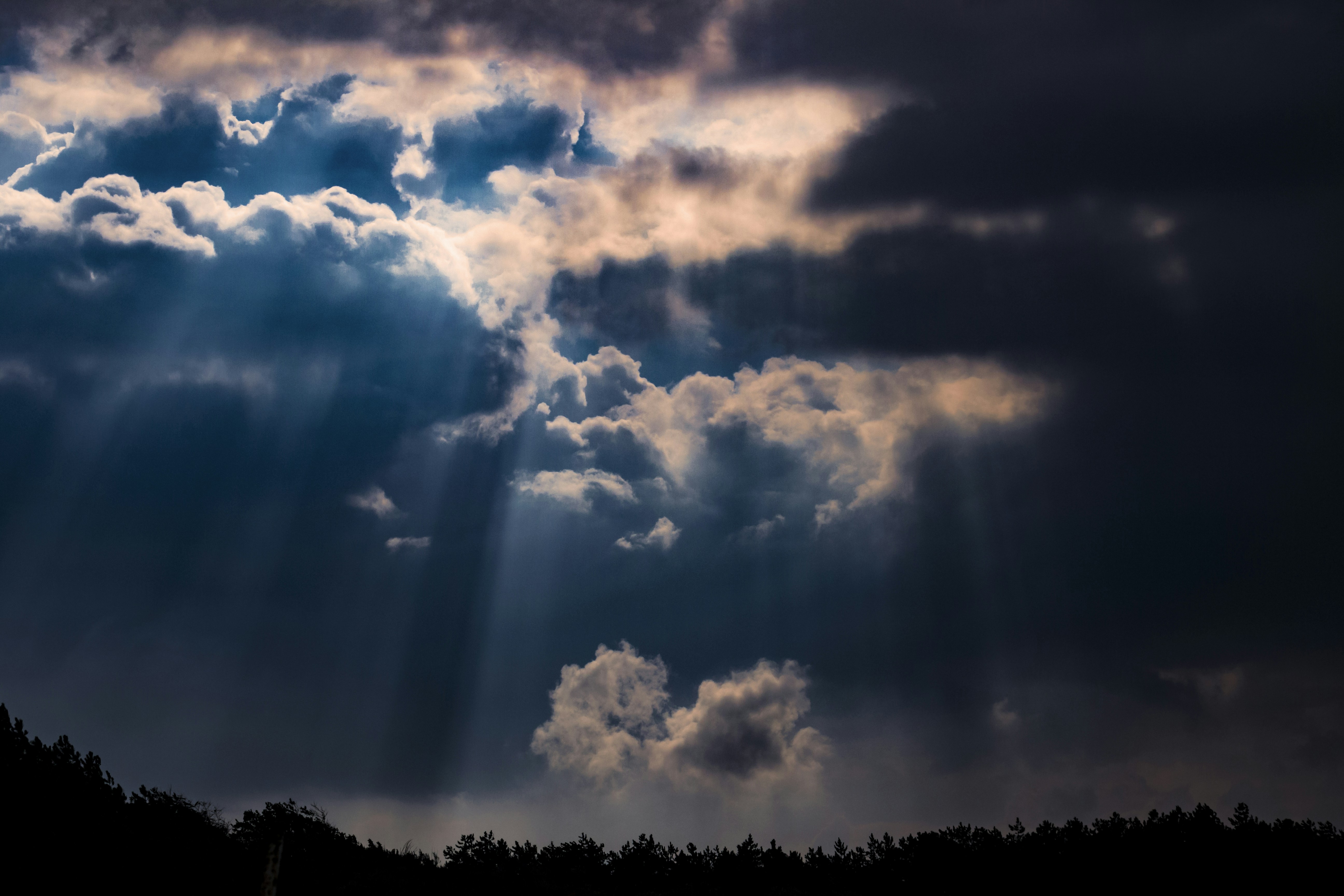 溏心风暴家好月圆，溏心风暴家好月圆粤语在线播放