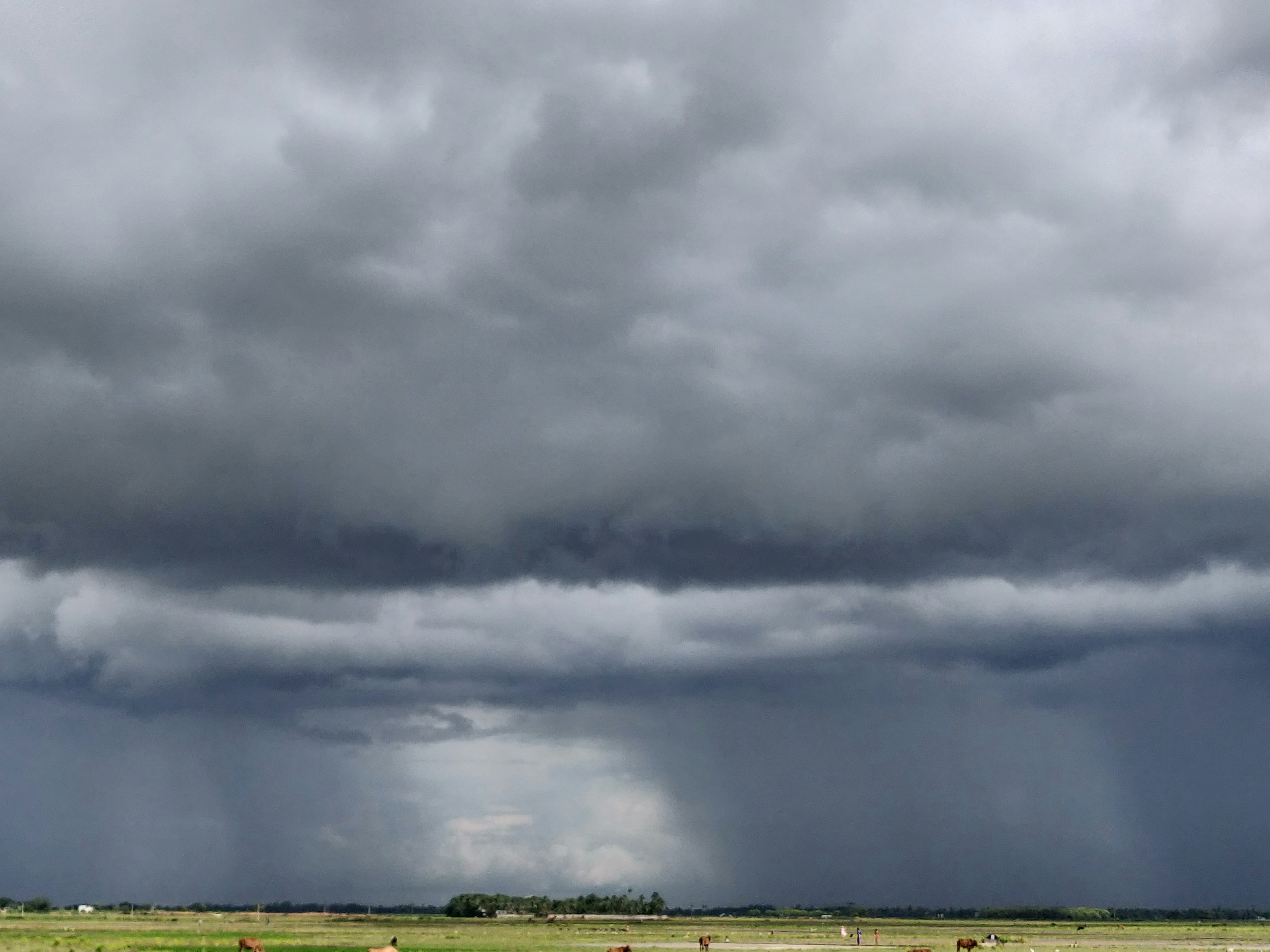Rainfall Warning Ousts Heatwave Alert: IMD Predicts Wet Spells in Punjab, Himachal, and 7 More States