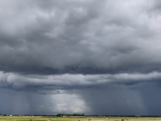 Radar image capturing a rainstorm moving across Belgium with clear precipitation zones.
