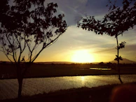 A scenic sunset view over the vast Nusantara Farm plantation, highlighting natural beauty.