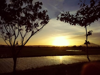 A serene sunset over terraced rice fields with local farmers working in the background.