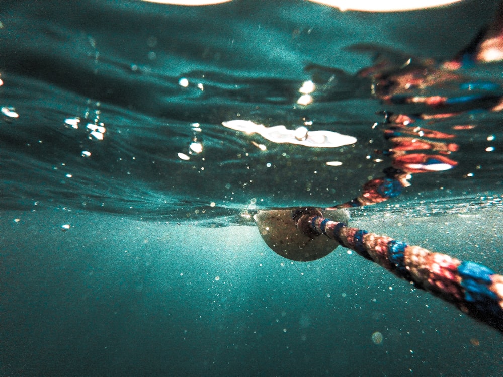 corde sous l’eau