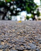 A close-up view of an asphalt road surface with detailed textures of gravel and small stones. The background features blurred green trees and some indistinct buildings.
