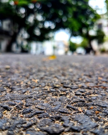 A close-up view of an asphalt road surface with detailed textures of gravel and small stones. The background features blurred green trees and some indistinct buildings.