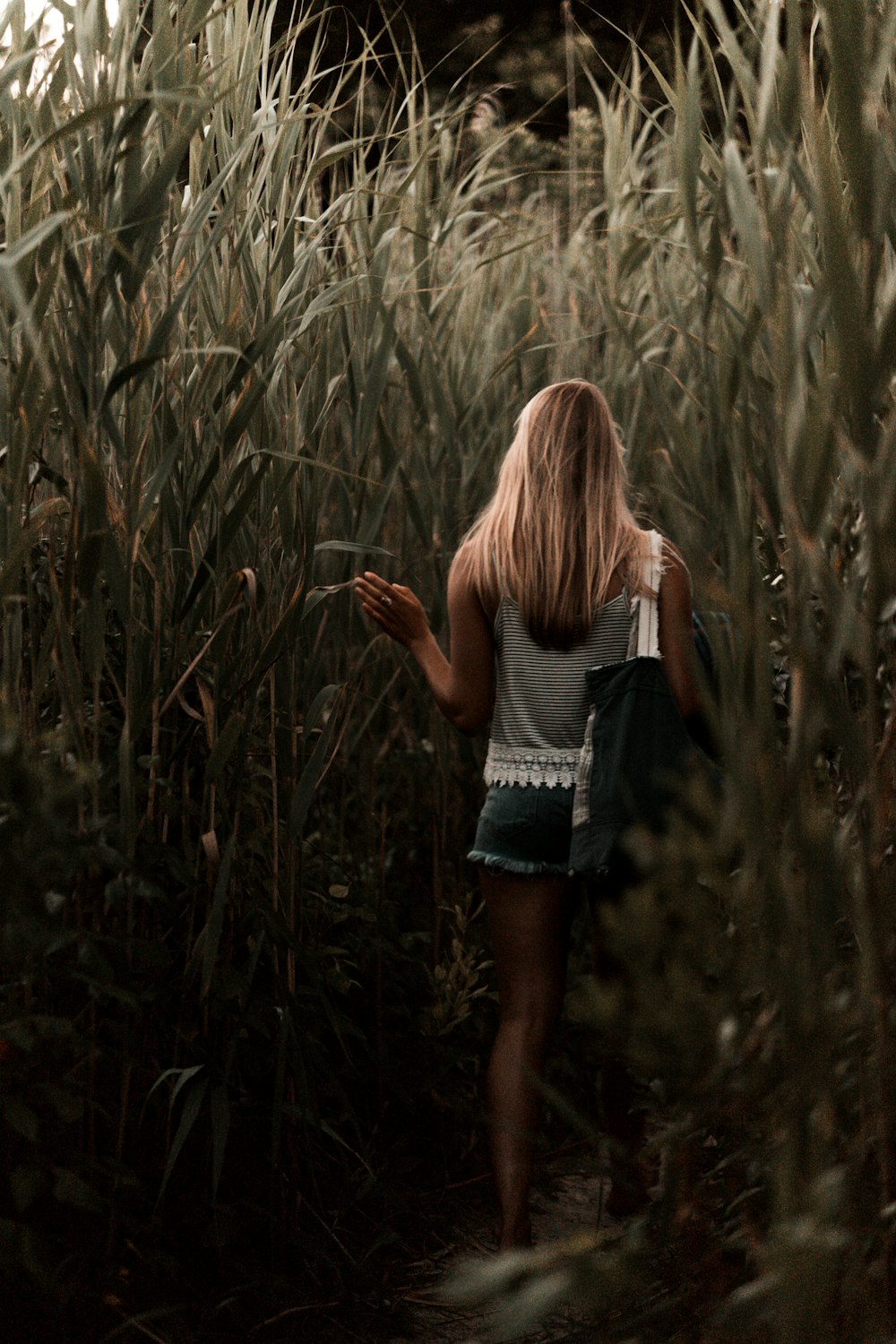 woman standing on tall grasses