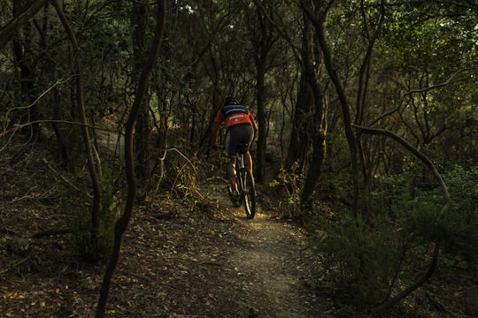 man riding mountain bike between green leaves tree during daytime in Canet de Mar Spain