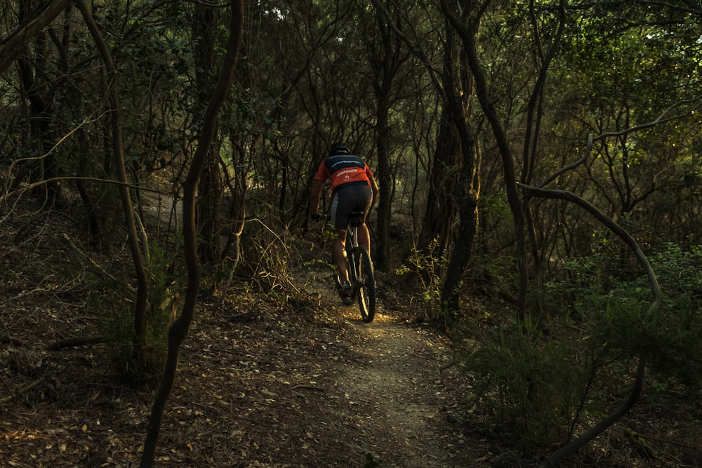 man riding mountain bike between green leaves tree during daytime