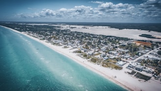 aerial view photo of white sand beach shoreline