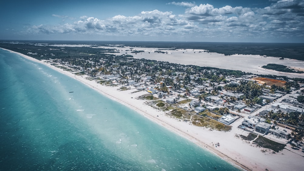 aerial view photo of white sand beach shoreline