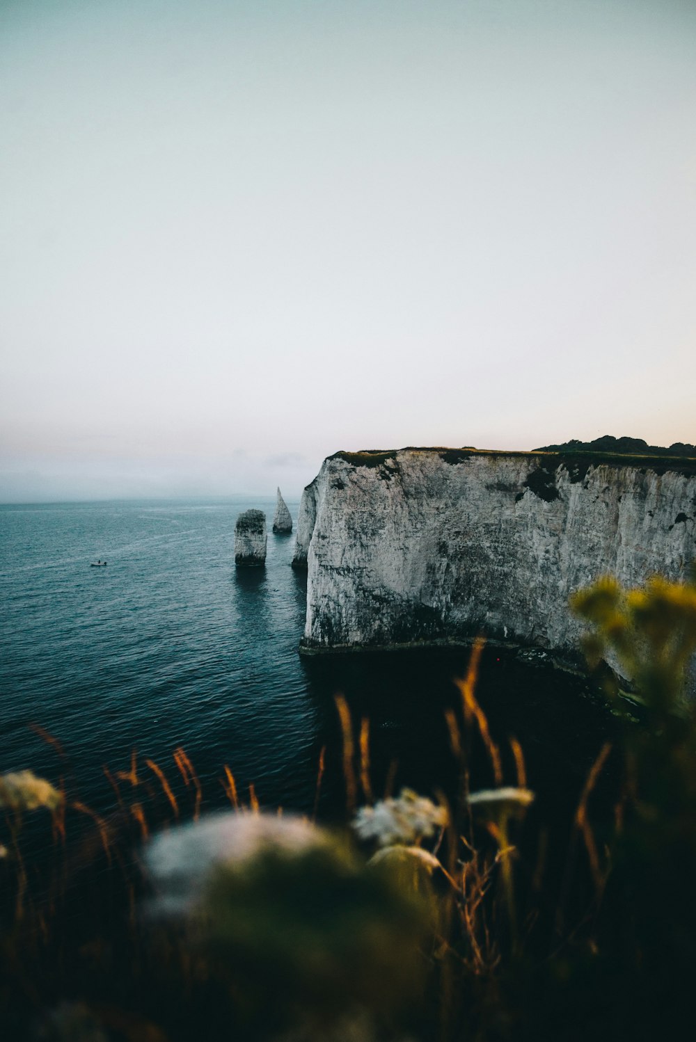 selective focus photography of a cliff